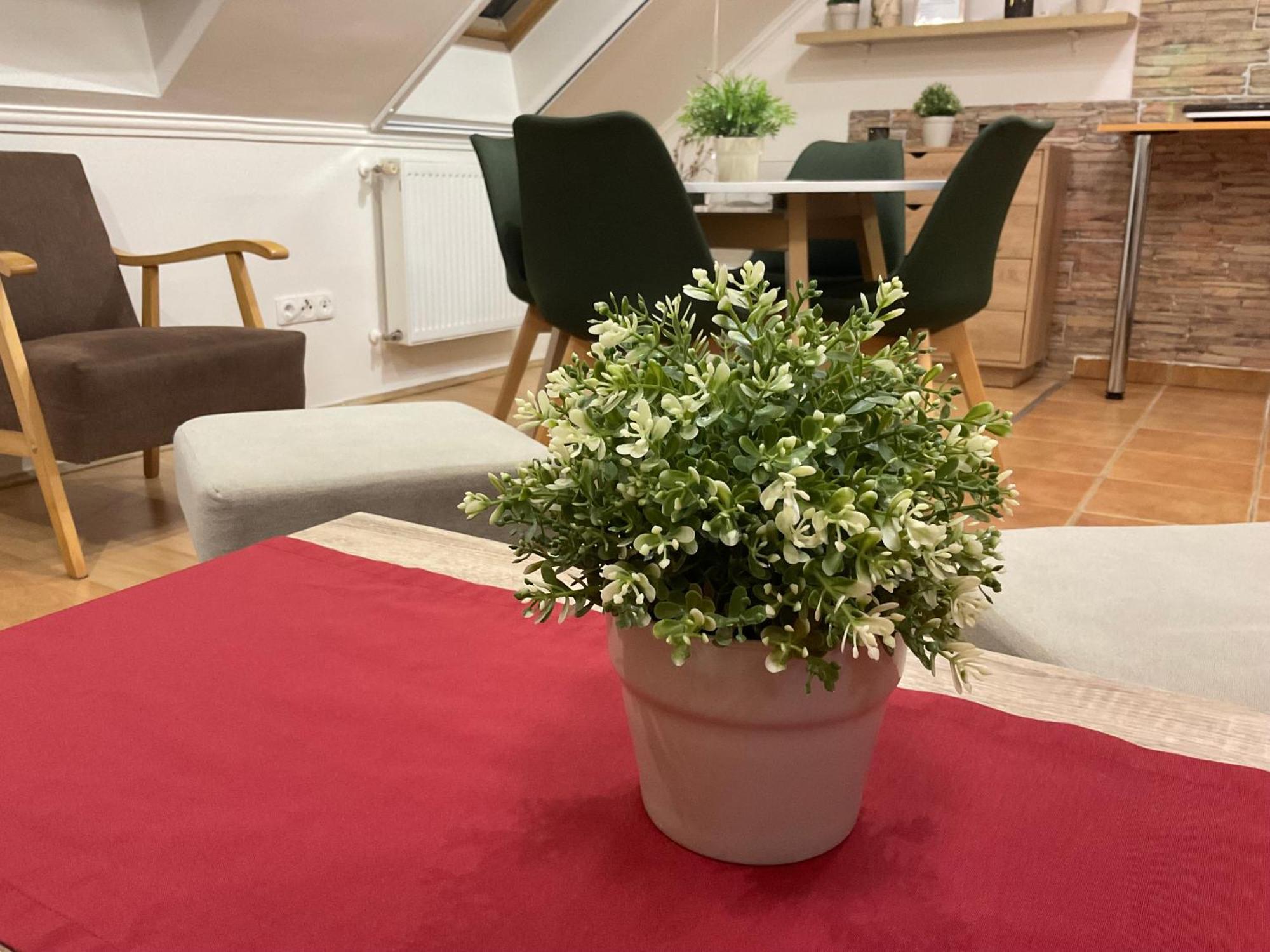 Sport Apartman Hajdúszoboszló Exterior foto